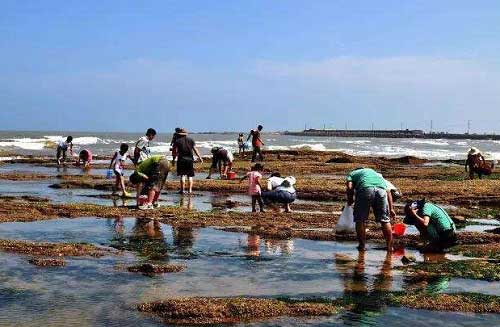 平潭趕海