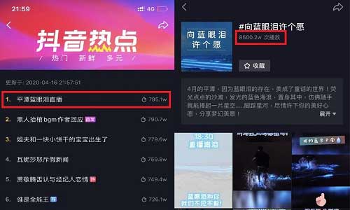 平潭藍眼淚直播抖音榜首